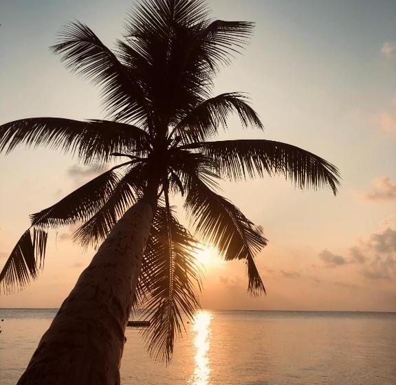 پانسیون Aqua Sunset