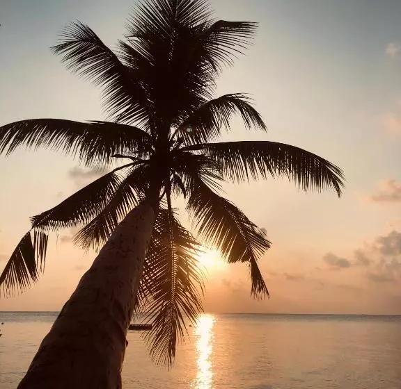 پانسیون Aqua Sunset