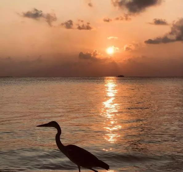 پانسیون Aqua Sunset