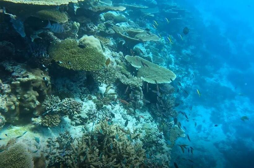 پانسیون Aqua Sunset