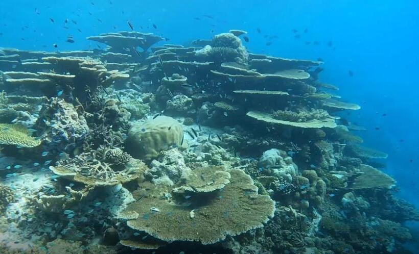 پانسیون Aqua Sunset