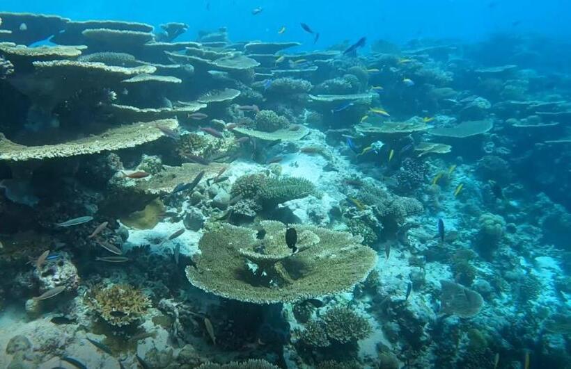 پانسیون Aqua Sunset