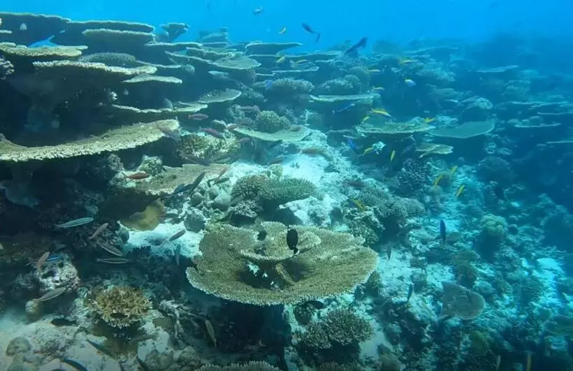 پانسیون Aqua Sunset