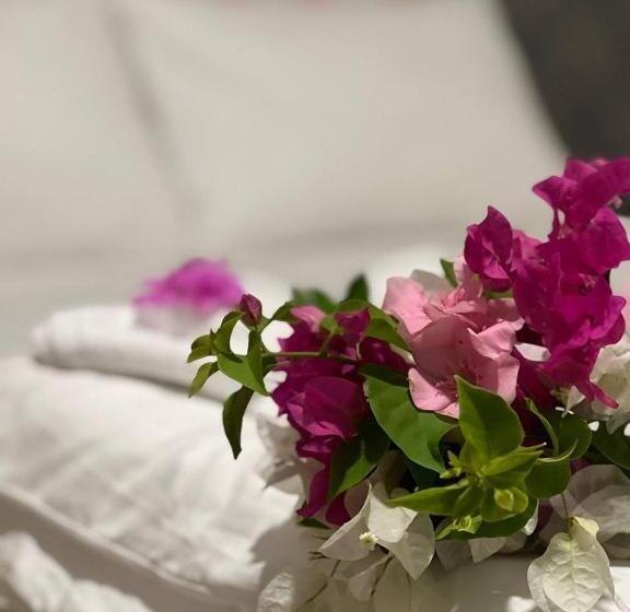 پانسیون Aqua Sunset