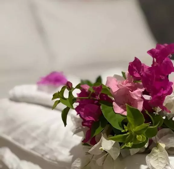 پانسیون Aqua Sunset