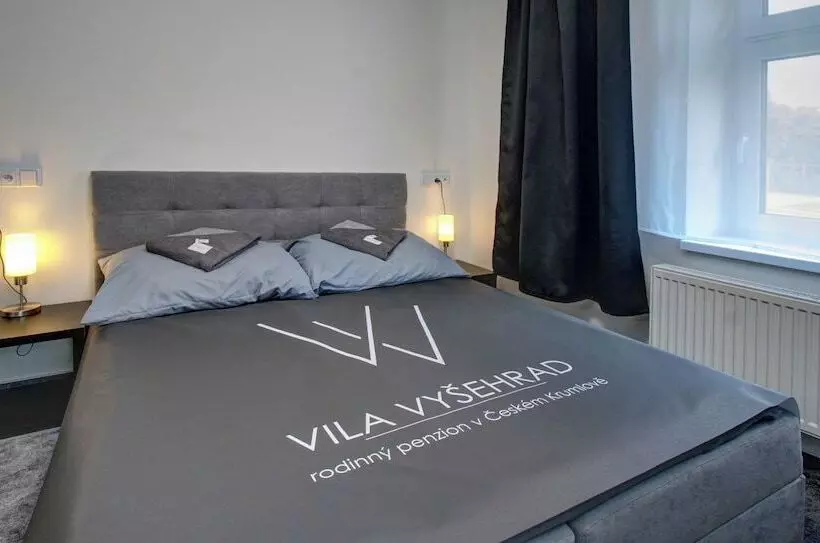 پانسیون Vila Vyšehrad