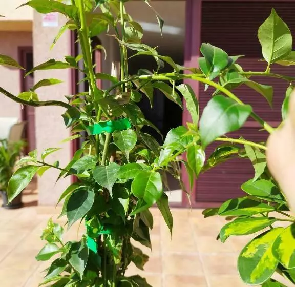 ベッドアンドブレックファースト Vivienda Vacacional Compartida Radazul