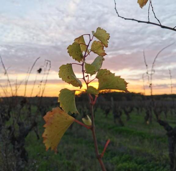 צימר La Grange De Cablanc
