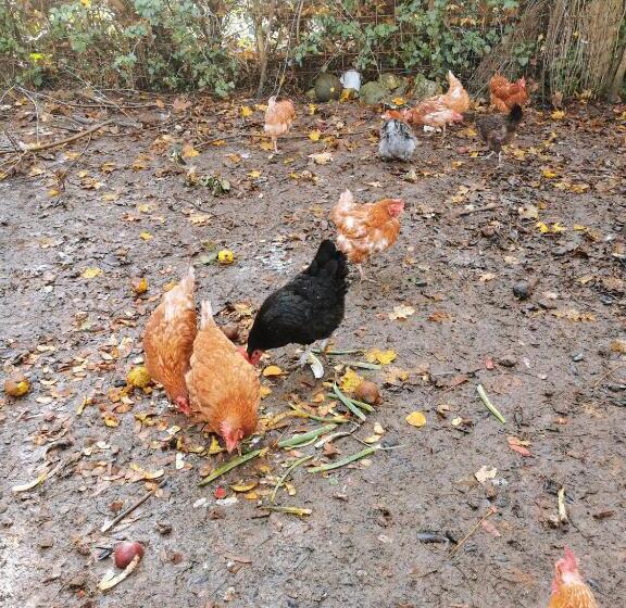 צימר La Grange De Cablanc