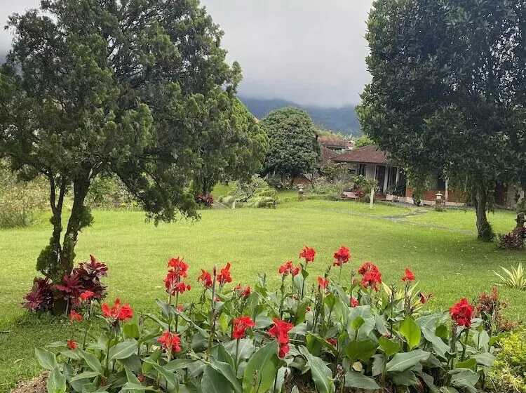 Hotelli Buyan Resort