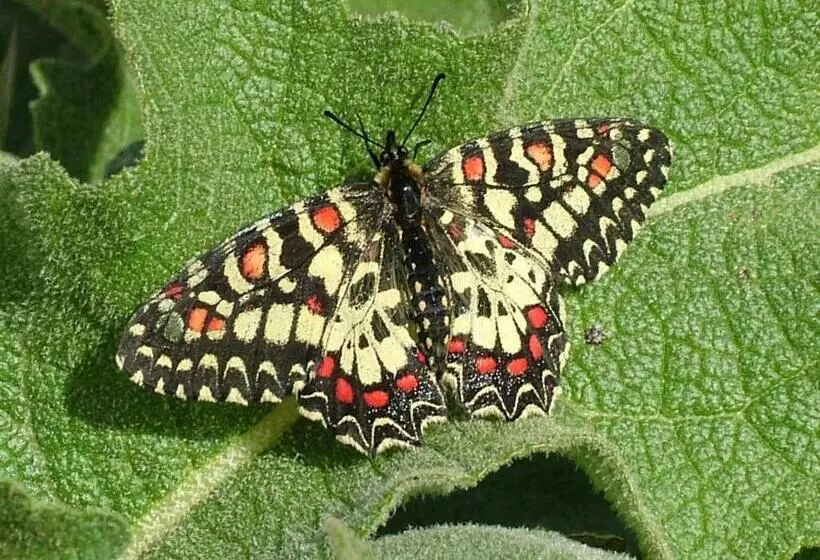 ペンション Casa Bi Rosario   Quinta Amoreira