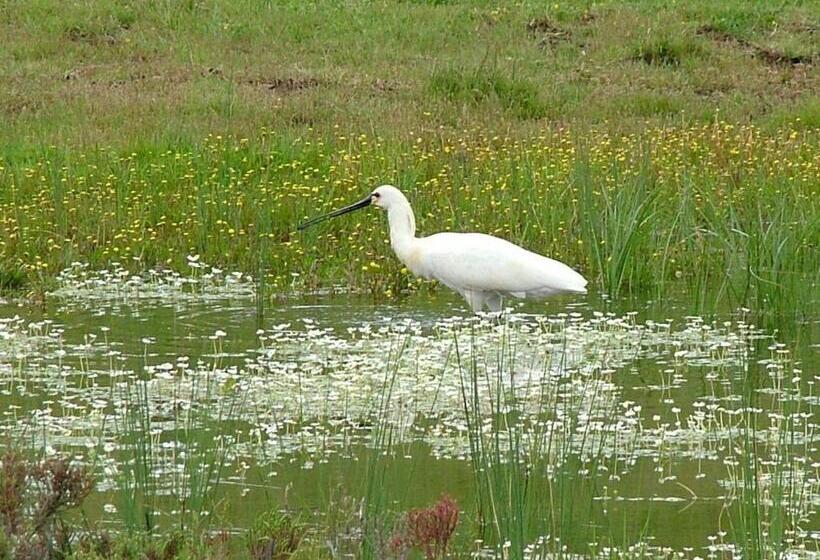 بنسيون Casa Bi Rosario Quinta Amoreira