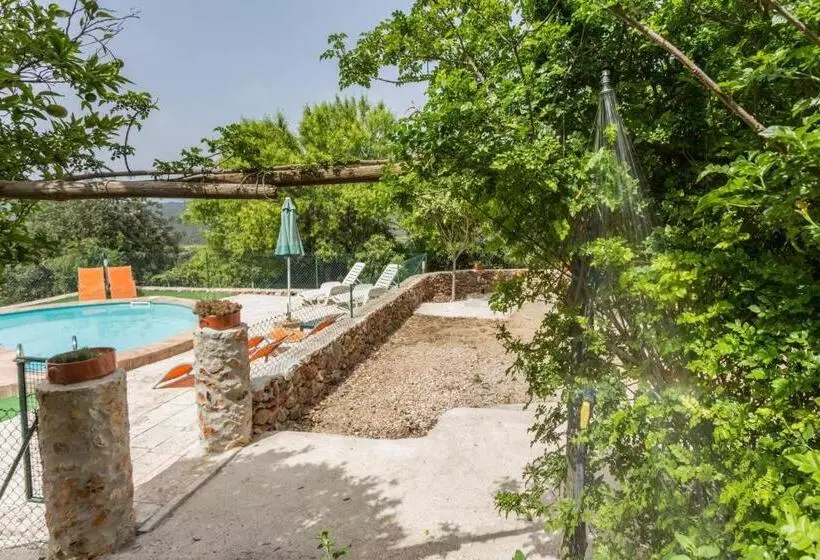 ペンション Casa Bi Rosario   Quinta Amoreira