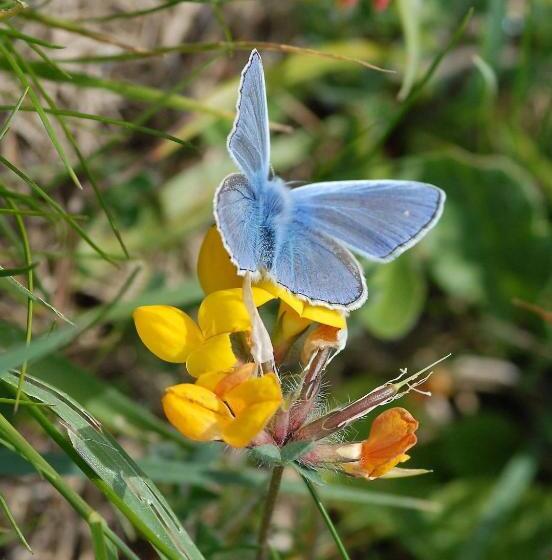 بنسيون Casa Bi Rosario Quinta Amoreira