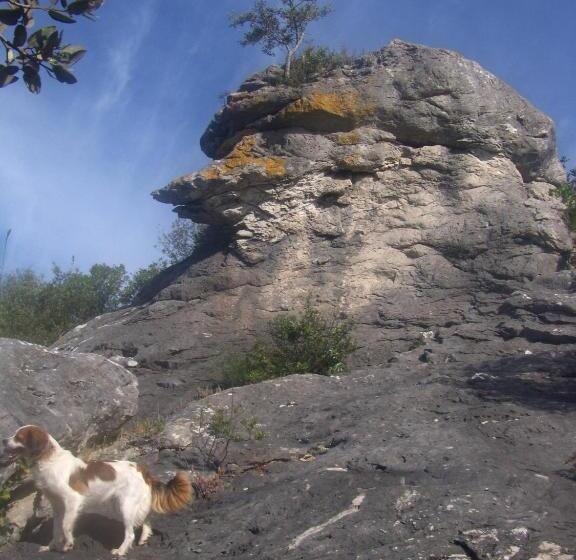 بنسيون Casa Bi Rosario Quinta Amoreira
