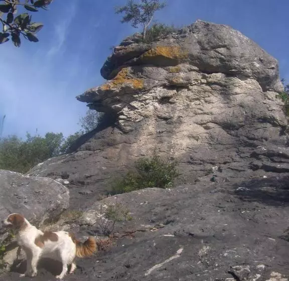 ペンション Casa Bi Rosario   Quinta Amoreira