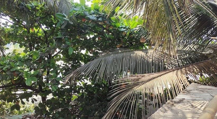 膳宿费 Est Hem Guesthouse Arambol