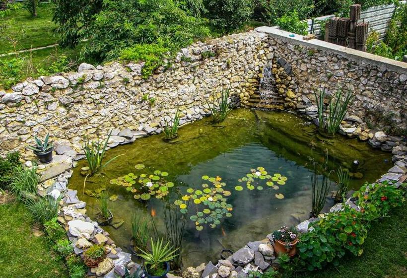 פנסיון Runcan Rai