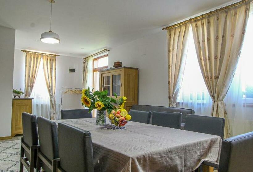 פנסיון Runcan Rai