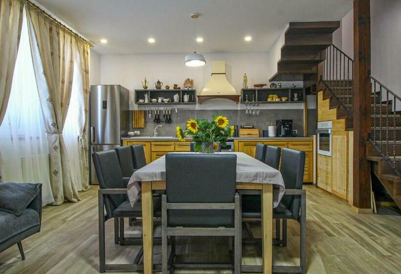 פנסיון Runcan Rai