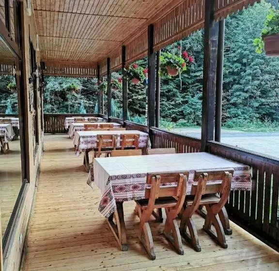 Pensiunea Valea Cetatii