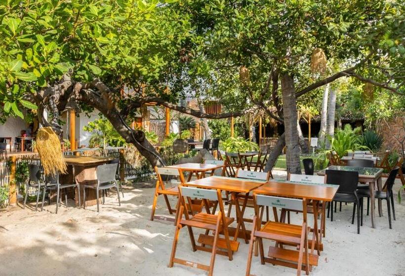 Szálló Rancharia Charme Beach Pé Na Areia