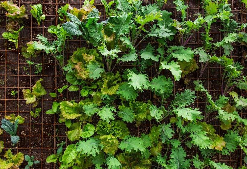 فندق صغير The Front Porch Hidden Oasis