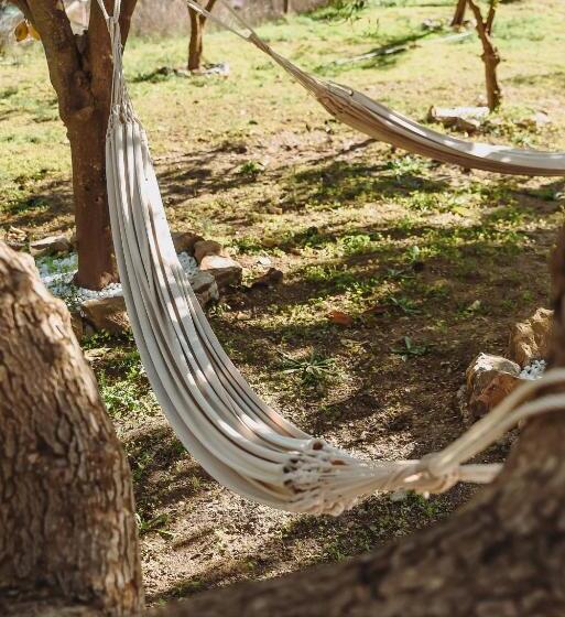 ベッドアンドブレックファースト Finca Elements