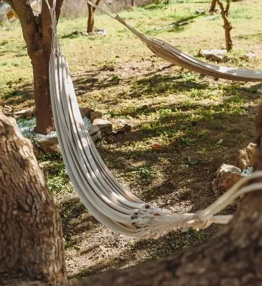 Bed and Breakfast Finca Elements