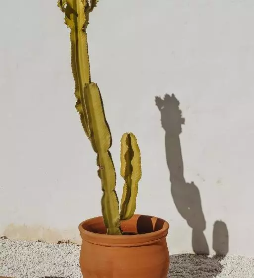 Bed and Breakfast Finca Elements