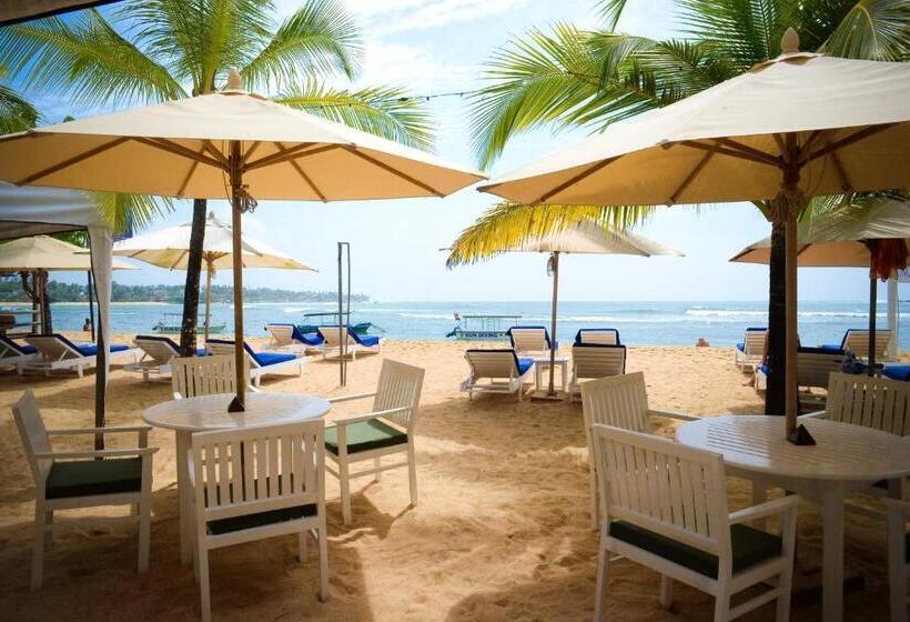 צימר Kingfisher Bamboo Garden Villa