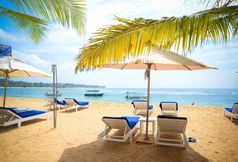 צימר Kingfisher Bamboo Garden Villa