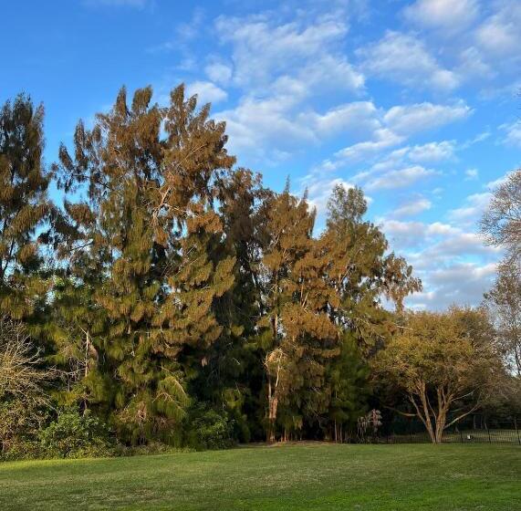 مبيت وإفطار Phantom History House