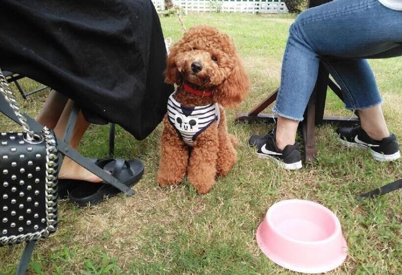 בית מלון כפרי Pension Le Passage   Vacation Stay 11300v