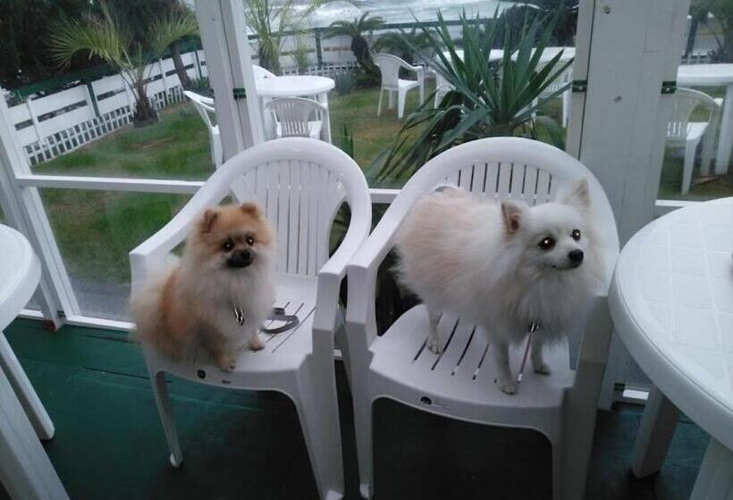 בית מלון כפרי Pension Le Passage   Vacation Stay 11300v