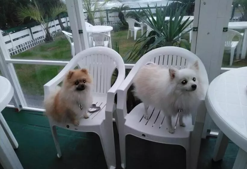 هتل Pension Le Passage   Vacation Stay 11300v