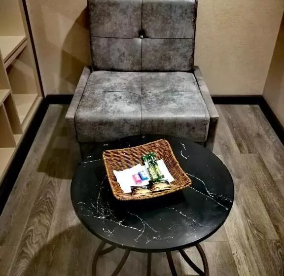 Luxury Hotel Suite Apartment