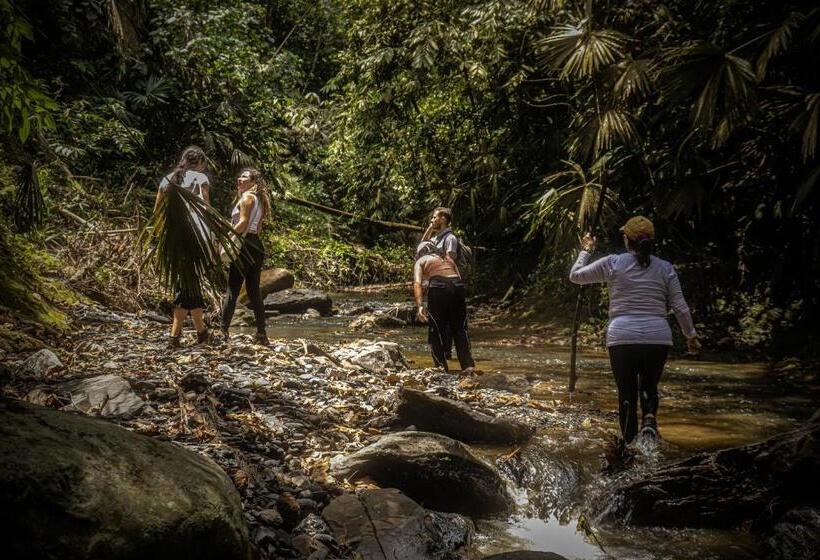 Pension Panchigua Hostel