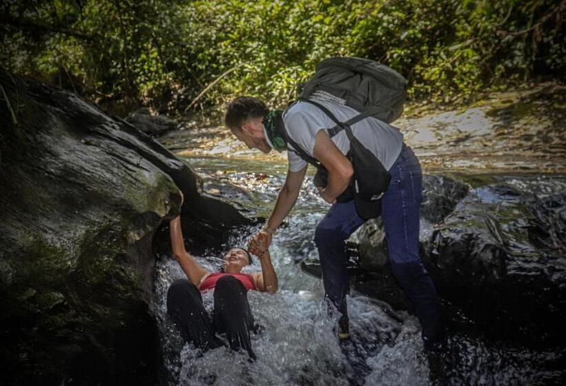 Pension Panchigua Hostel