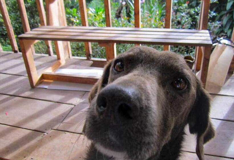 Pension Panchigua Hostel