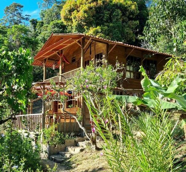 Pension Panchigua Hostel