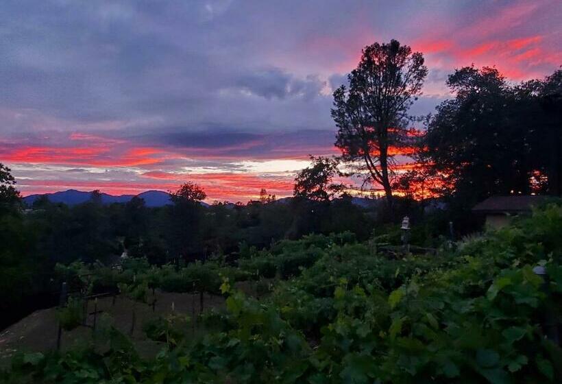 بنسيون The God Spa