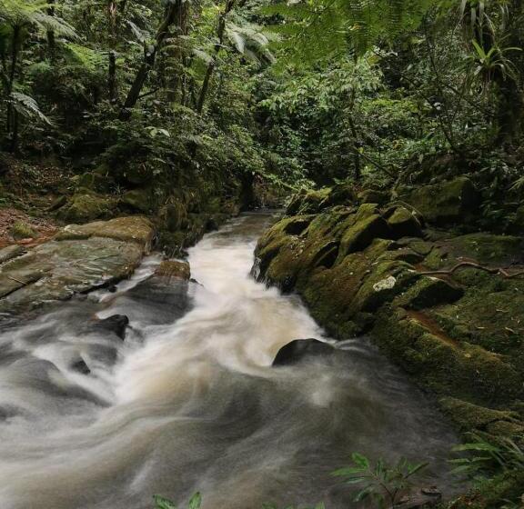 호스텔 Lago 7 Cores