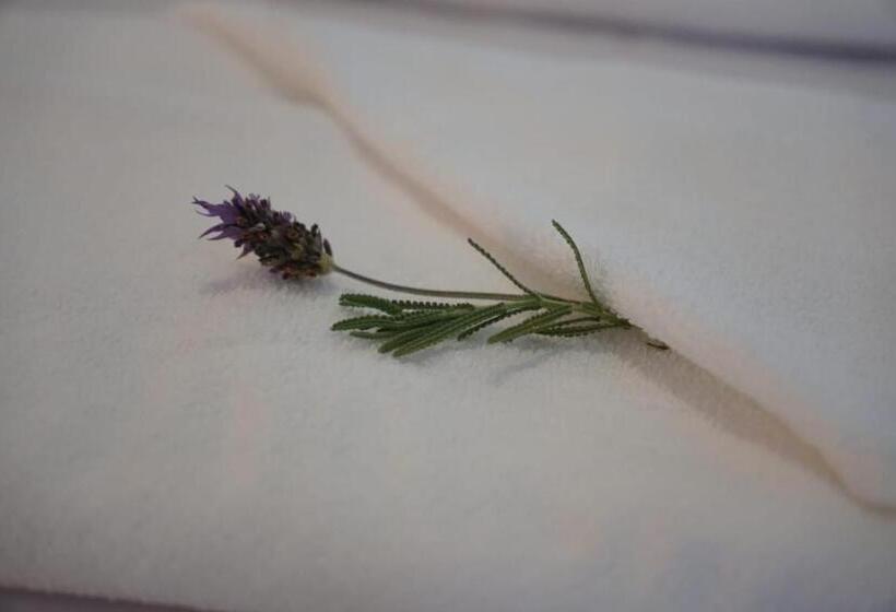 호스텔 Lago 7 Cores