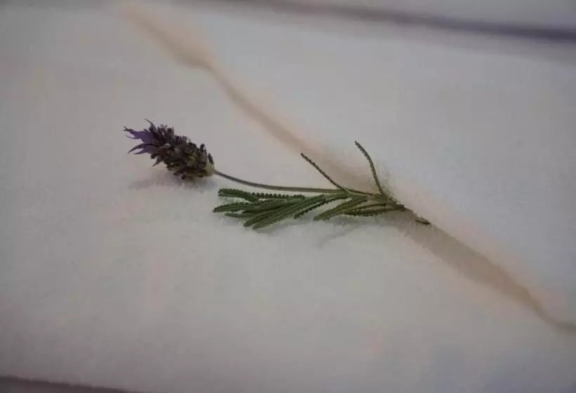 Retkeilymaja Lago 7 Cores