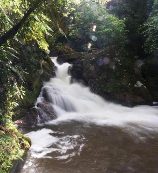 호스텔 Lago 7 Cores