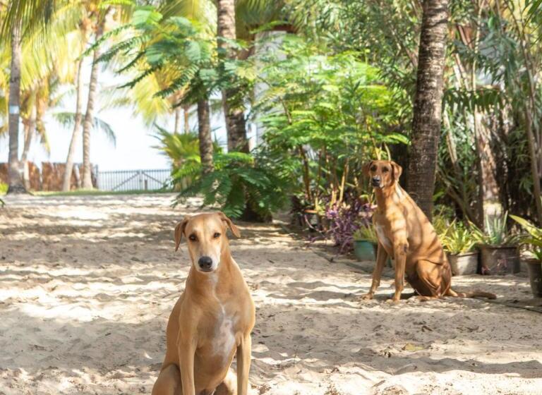 旅馆 Muita Paz Rooms