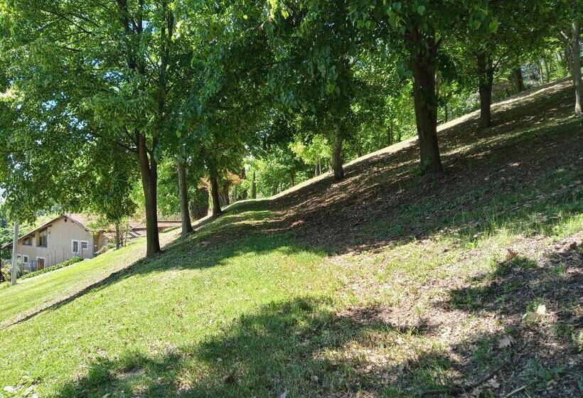 Bed and Breakfast L Albore