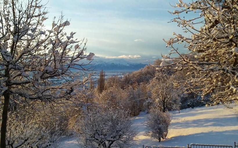 Bed and Breakfast L Albore