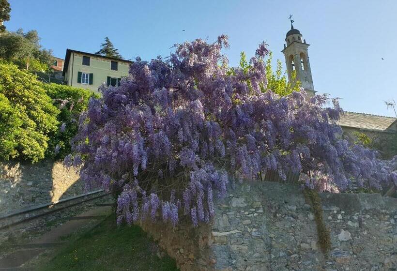 تختخواب و صبحانه Salotto Sul Mare